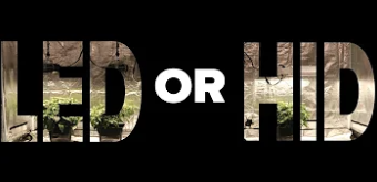 Panduan untuk Memilih Lampu LED dan HID